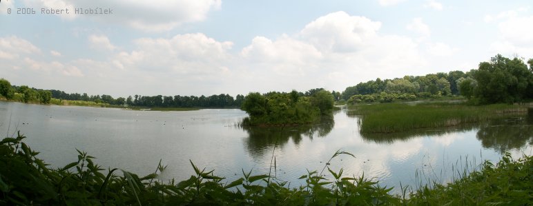 Bartošovický rybník